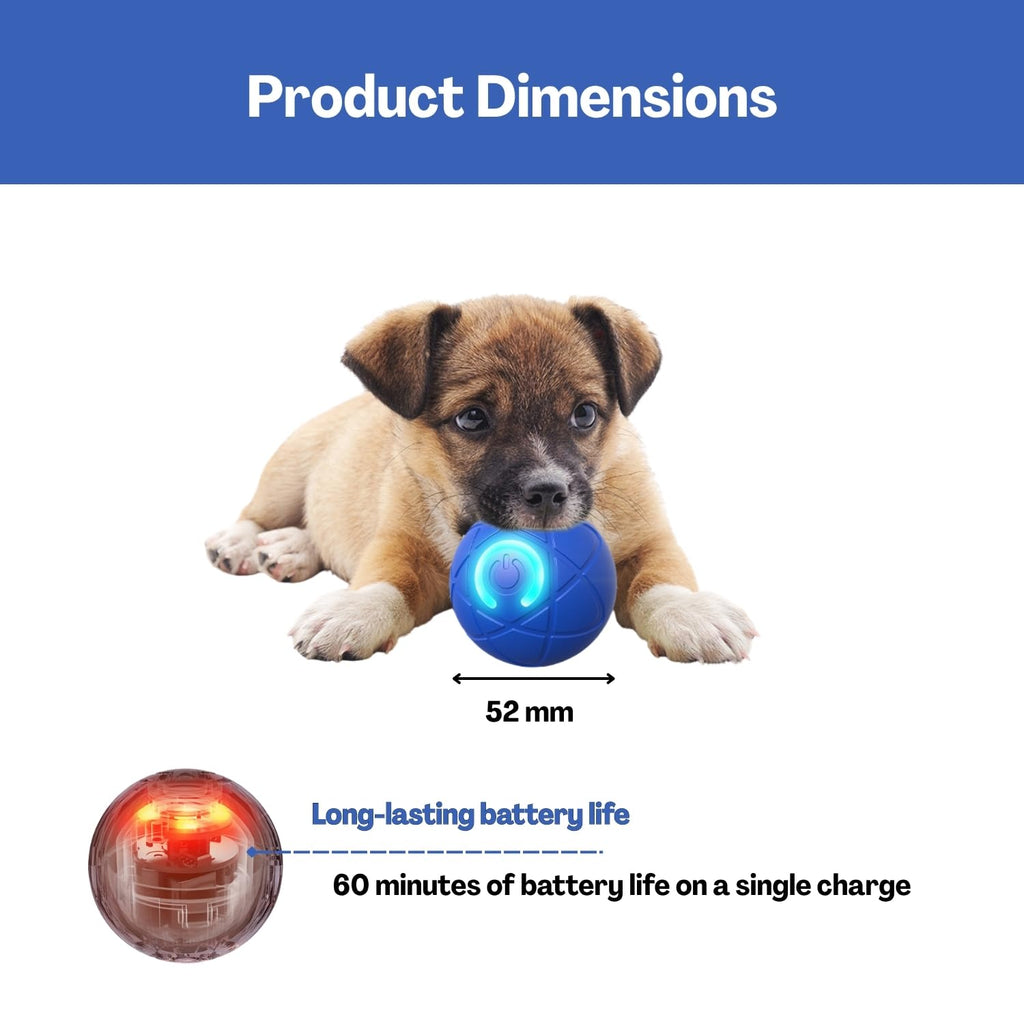TecoKart Interactive Automatic Dog Ball