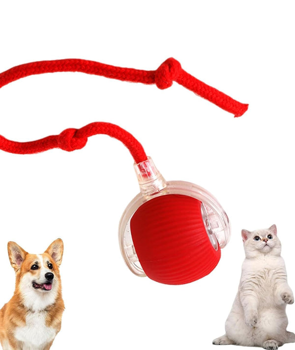 Smart Rolling LED Cat Ball