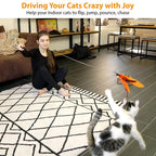 11-Piece Interactive Cat Toy Set