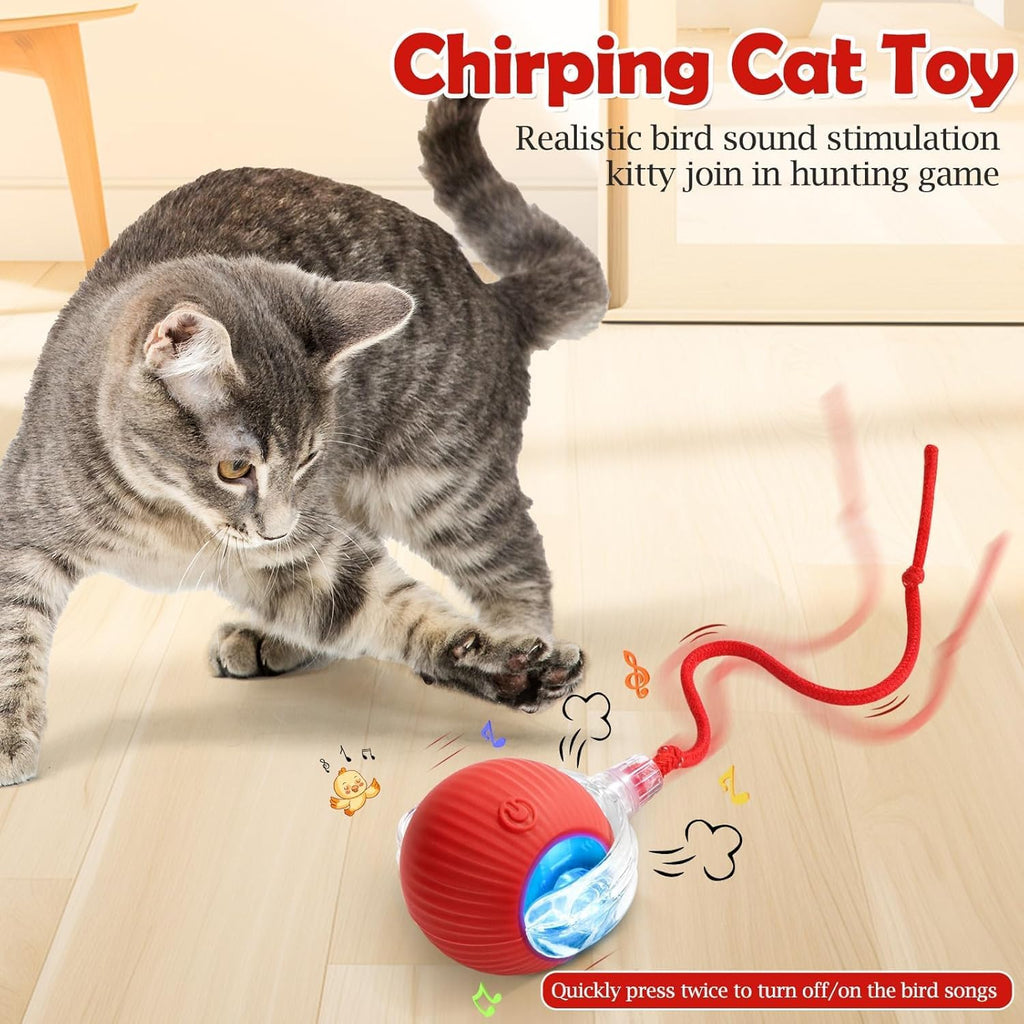 Smart Rolling LED Cat Ball
