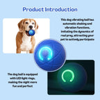 TecoKart Interactive Automatic Dog Ball