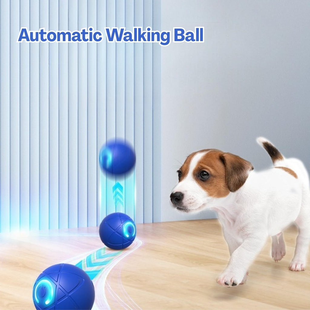 TecoKart Interactive Automatic Dog Ball