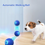 TecoKart Interactive Automatic Dog Ball