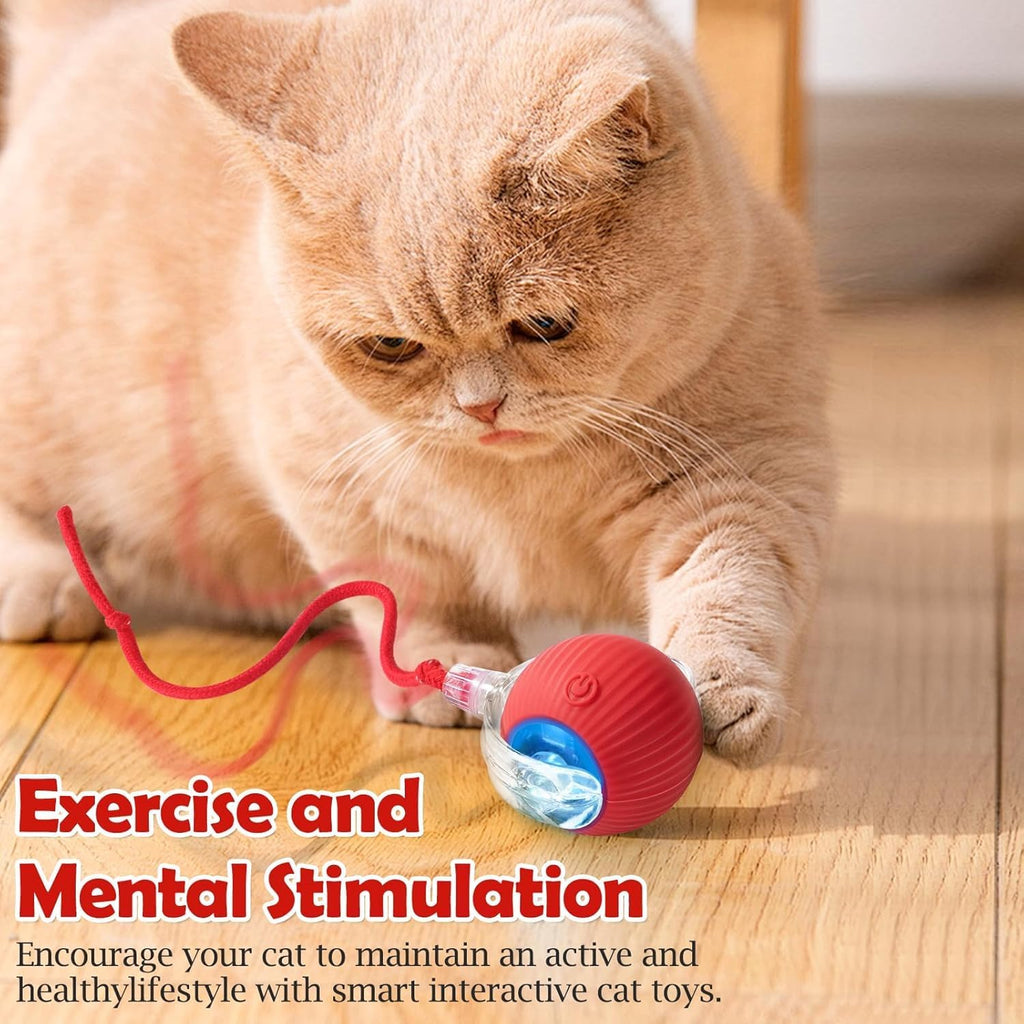 Smart Rolling LED Cat Ball