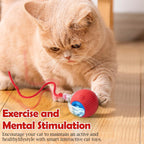 Smart Rolling LED Cat Ball