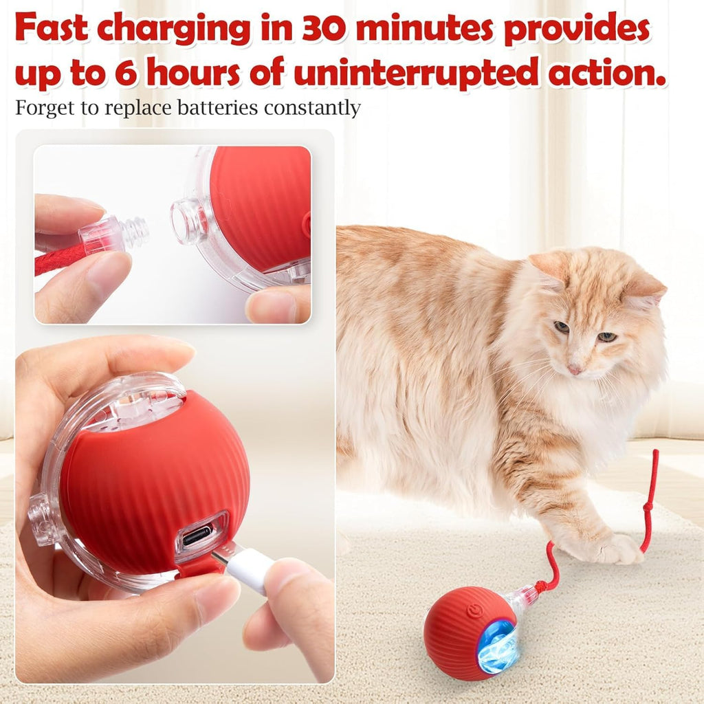 Smart Rolling LED Cat Ball