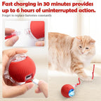 Smart Rolling LED Cat Ball