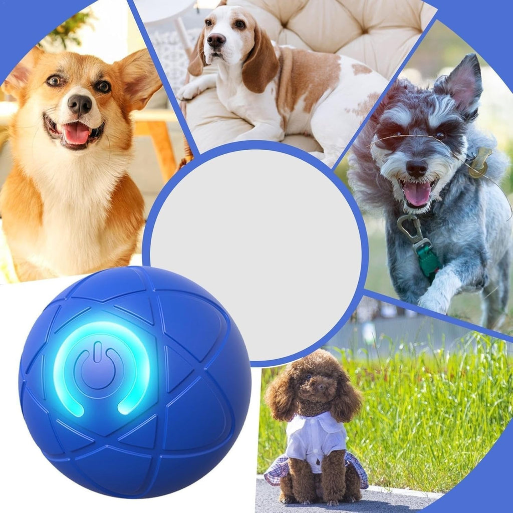 TecoKart Interactive Automatic Dog Ball