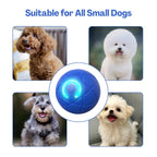 TecoKart Interactive Automatic Dog Ball