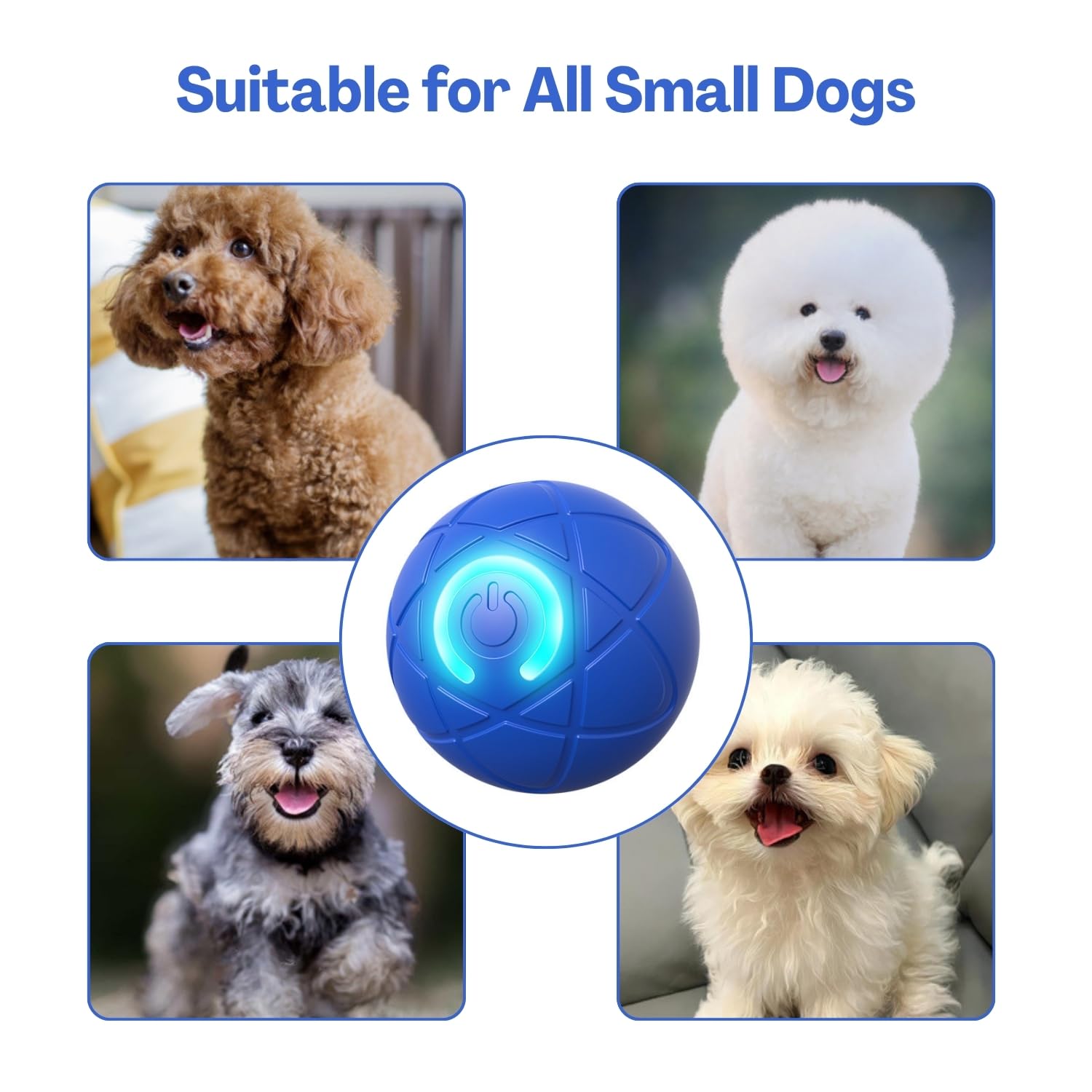 TecoKart Interactive Automatic Dog Ball