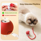 Smart Rolling LED Cat Ball