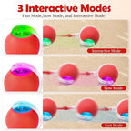 Smart Rolling LED Cat Ball